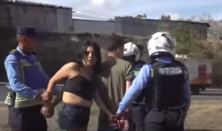 5552ff1f ae26 4a08 ab81 dbece9c5acfc