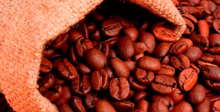 Preocupación en Honduras por la caída en los precios del café 23 CAFE MENOS copia