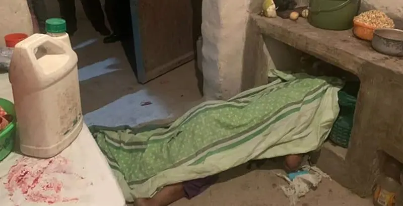 FEMINICIDIO-copia FEMINICIDIO copia