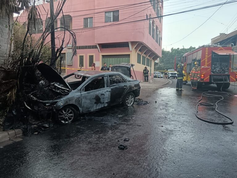 WhatsApp Image 2025 04 14 at 7.25.43 AM