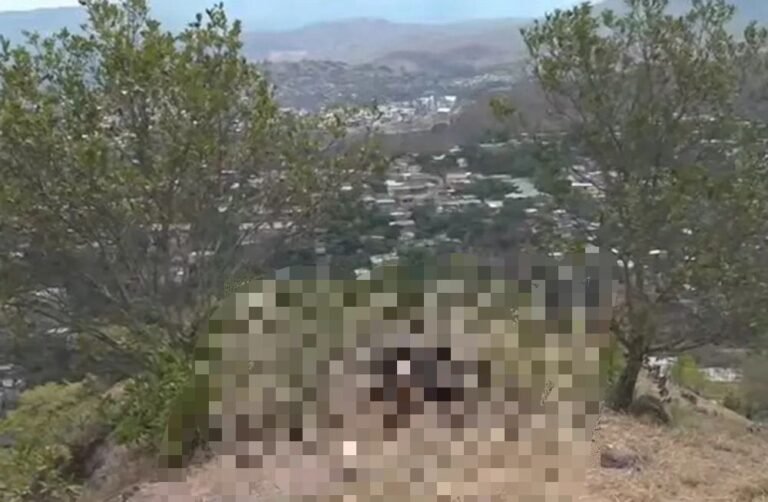 Asesinan a joven en Los Pinos; podría estar vinculado a otros crímenes ocurridos en la capital 13 WhatsApp Image 2025 04 29 at 11.59.12