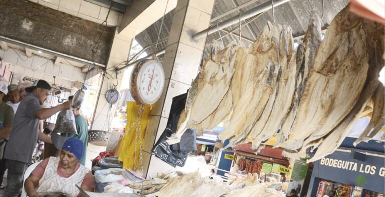 Incremento de L5 en precios de mariscos en el Mercado La Isla de Tegucigalpa 15 ZONAL 1