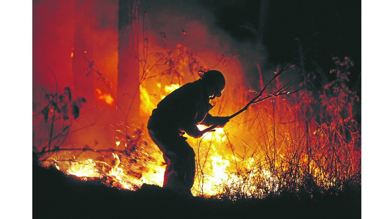 Honduras registra más de 7,400 hectáreas afectadas por incendios forestales en 2025 1 c