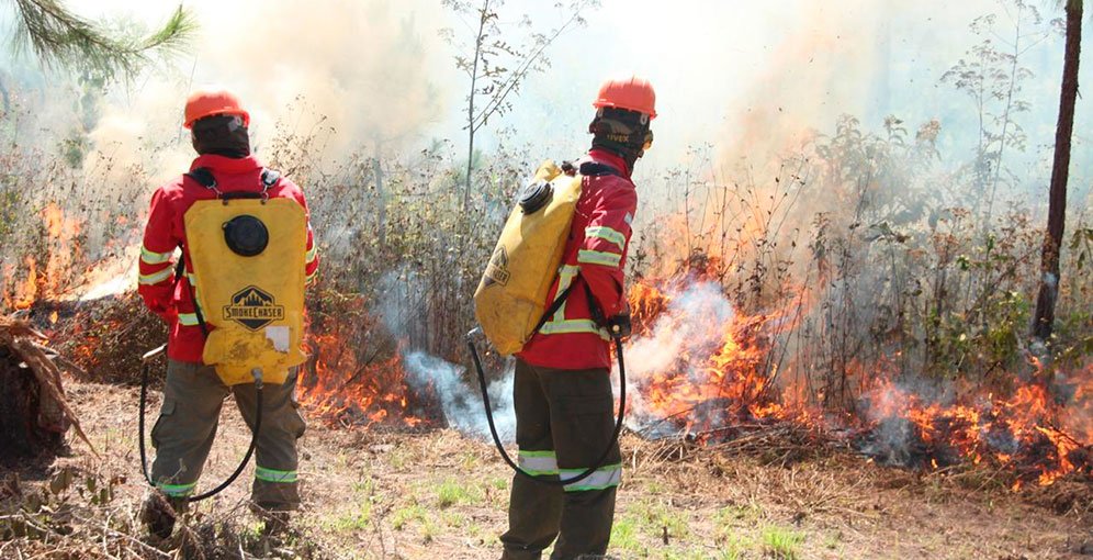 Honduras logra reducir en un 90% los daños por incendios forestales en 2025 1 disminuyen 90 los danos por incendios forestales en honduras 1