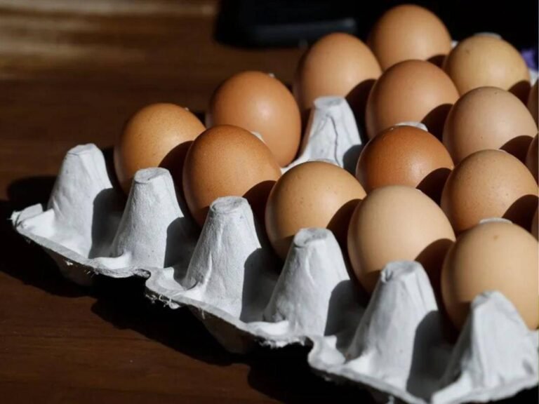 Precio del huevo en EE. UU. alcanza récord histórico previo a Pascua 17 el heraldo 3 10449086 20250410200917