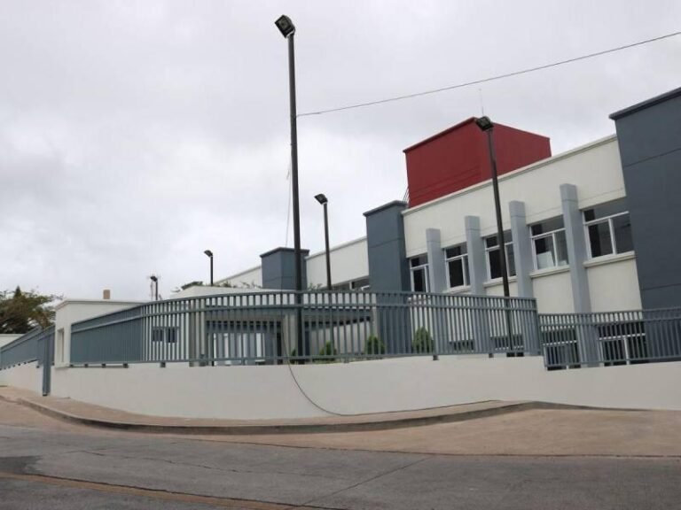 image asj 6976533 20240312172320 10419127 20250408125910