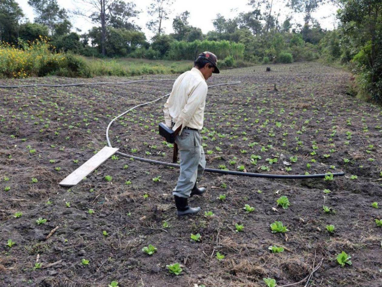 Condiciones neutras marcarán el clima de Honduras en 2025, según Cenaos 1 lluvias 10457789 20250411185952