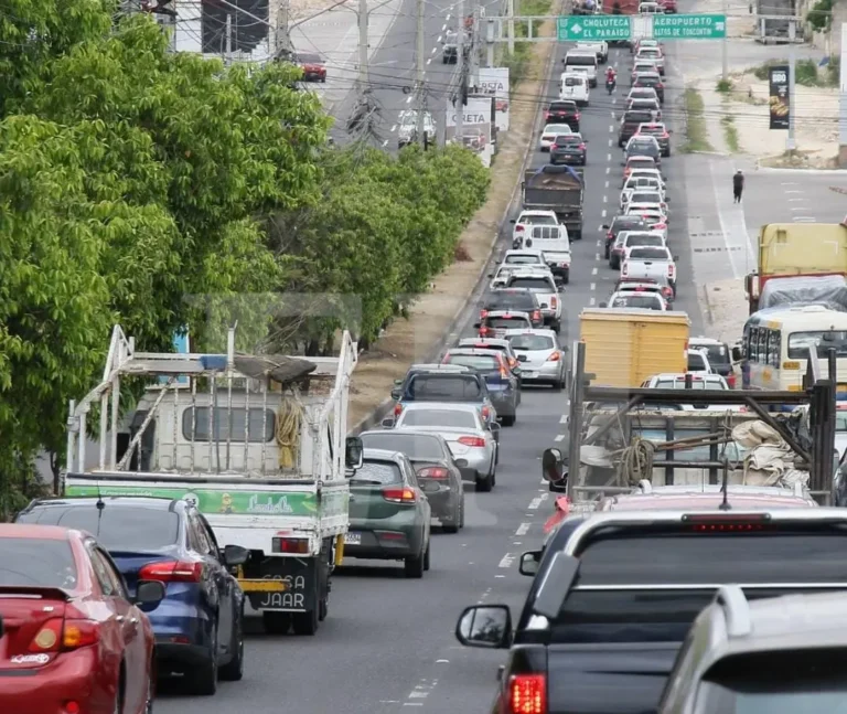 transito tegus.jpg 1