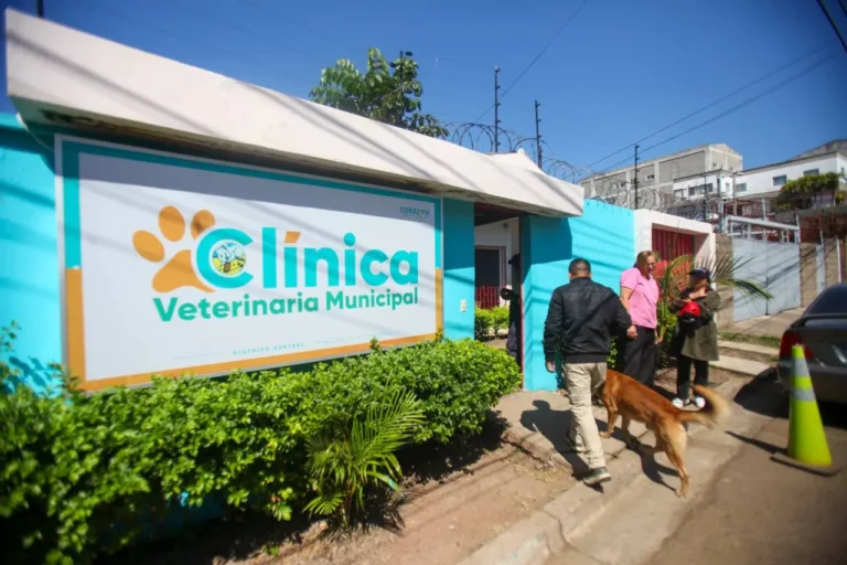 veterinaria alcaldia.jpg 1