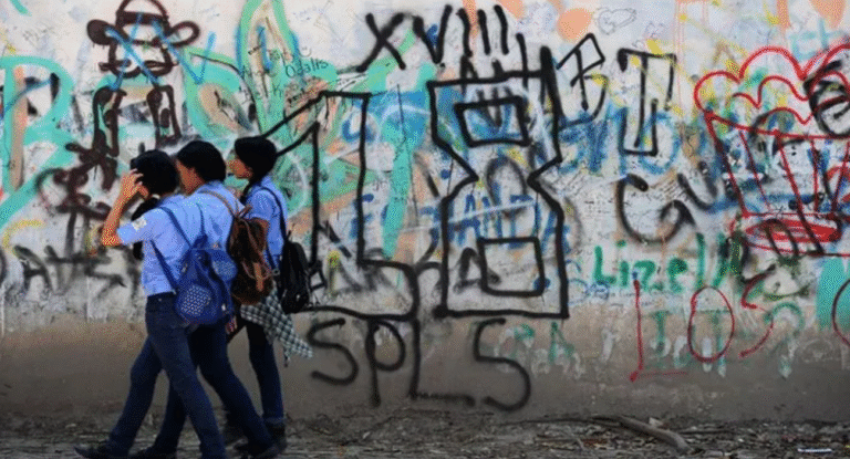 Captura de pantalla 12