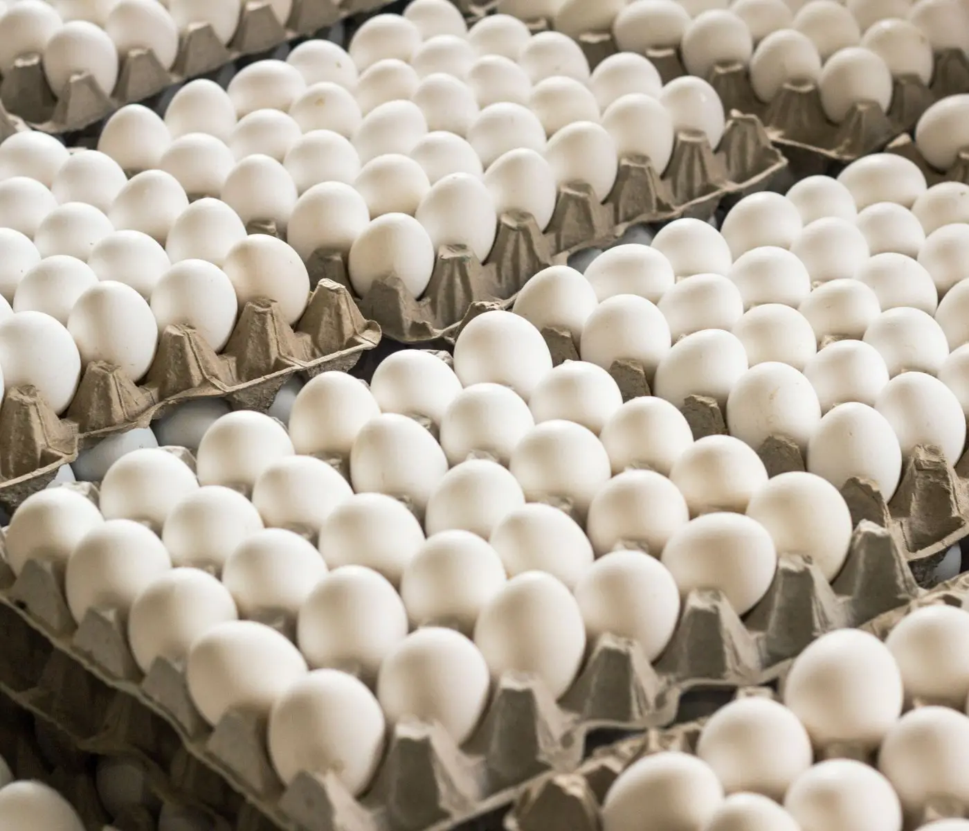 Cartón de huevos conserva precio estable en mercados de Tegucigalpa 1 EEUU PRODUCCION DE HUEVOS