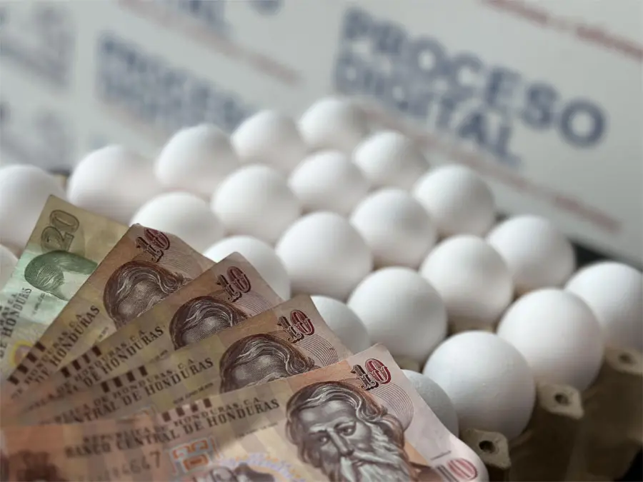 Precio del cartón de huevos se dispara en Tegucigalpa tras dos meses de estabilidad 1 Huevos PD.jpg