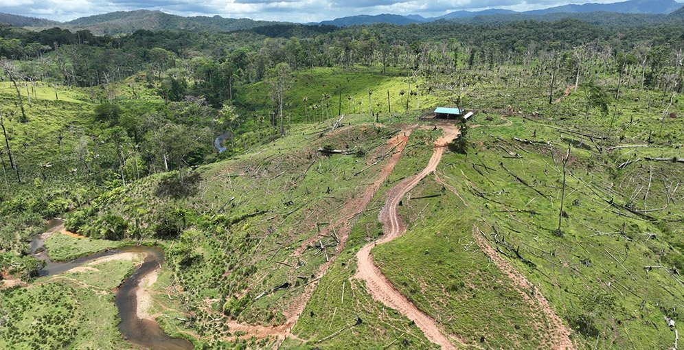 Alarma por destrucción ambiental en la zona núcleo de la Biósfera del Río Plátano 1 RIO PLATANO F1
