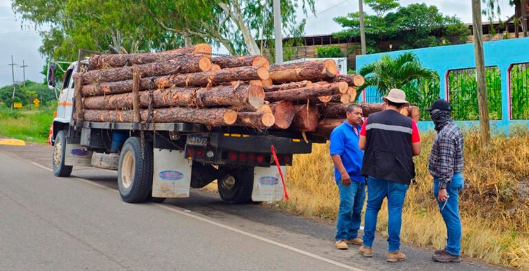 Honduras intensifica acciones para frenar la deforestación y proteger la biodiversidad 1 mas de mil intervenciones para frenar deforestacion y proteger la biodiversidad 2