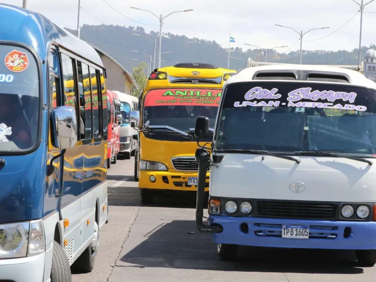 Transportistas exigen diálogo y amenazan con paro nacional por reformas a la Ley de Transporte 11 transportistas paralizaran sus buses 8310038 20240818223328