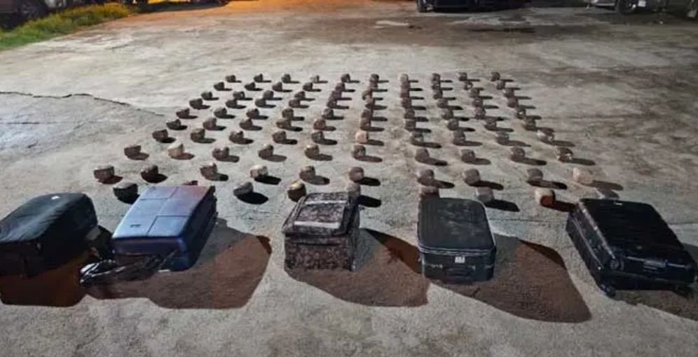 Decomisan 200 paquetes de supuesta marihuana en operativo en Patuca, Olancho 1 200 paquetes de marihuana LaTribuna