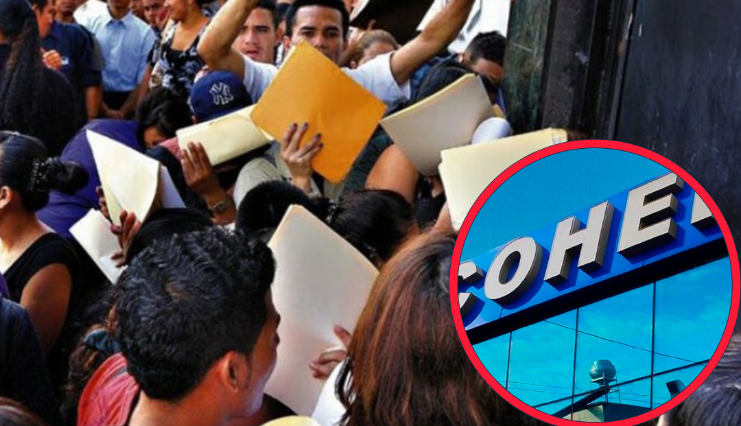 COHEP alerta: más de 386,000 personas desempleadas y la informalidad golpea fuerte en Honduras 1 Diseno sin titulo 1
