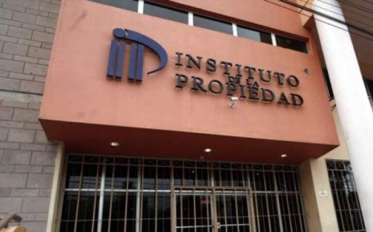 Crisis en el Instituto de la Propiedad: empleados paralizan labores por falta de salarios y abandono institucional 7 Instituto de la propiedad