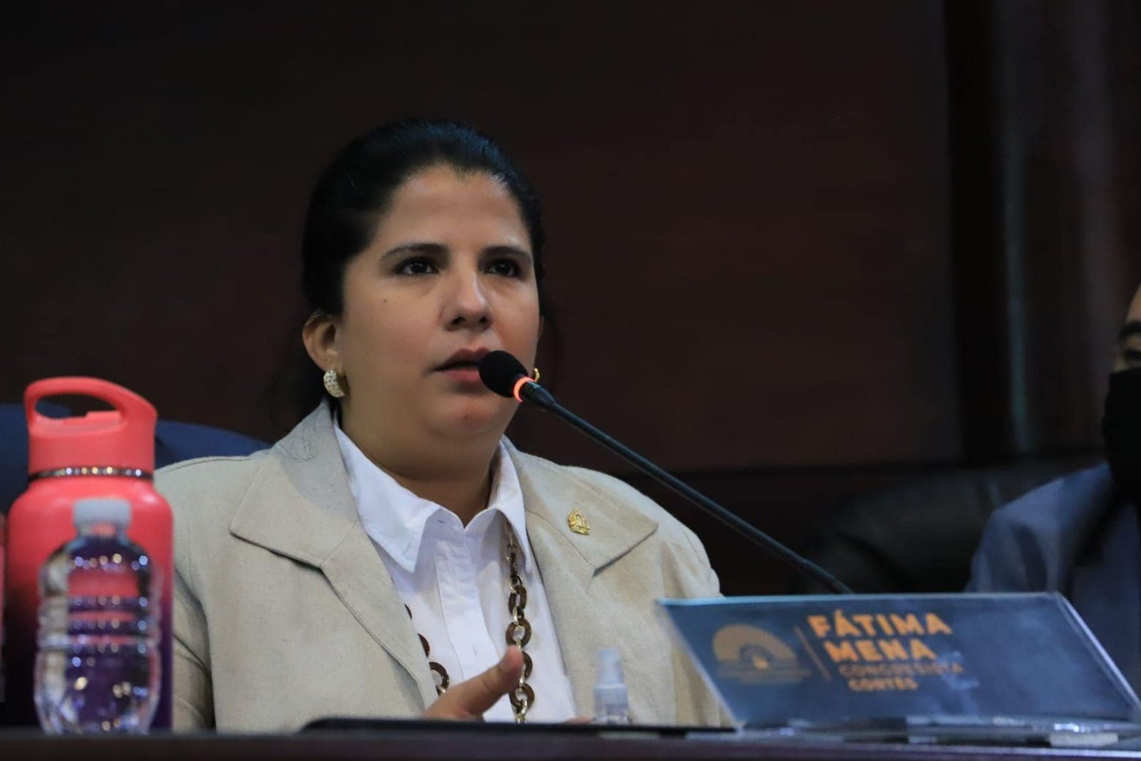 PSH denuncia exclusión y violaciones al debido proceso por parte del CNE 1 a1 125 1