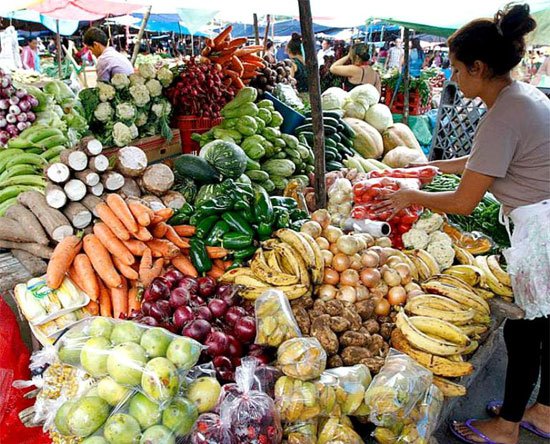 Verduras suben de precio en la Feria del Agricultor y el repollo escasea 1 canasta basica