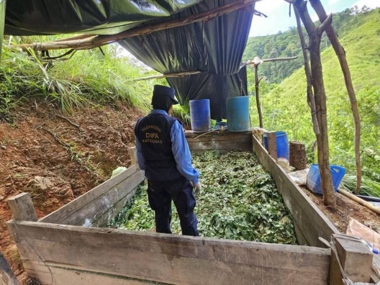 Descubren enorme plantación de hoja de coca y laboratorio clandestino en Colón 18 524700531 1171718104990674 7384313055211984196 n 1