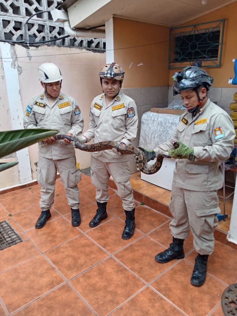 8cc566f9 30ae 4c69 bd37 3bb941129554