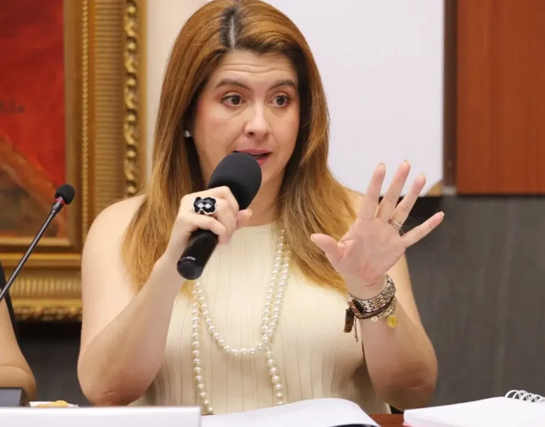 CNE lanza convocatoria para auditar calidad de equipo electoral rumbo a 2025 5 Cossette Lopez 240425ab.jpg