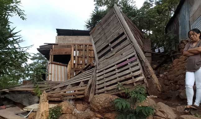 Familia pierde su casa tras caída de árbol por fuertes vientos en Tegucigalpa 1 MUJER