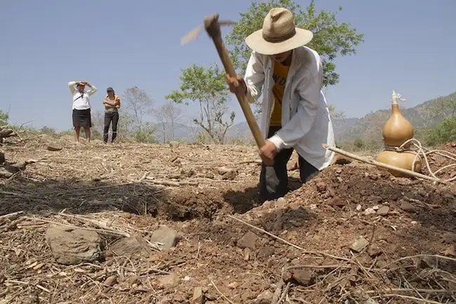 Honduras entra en la canícula: calor extremo y reducción de lluvias impactarán al país 1 Sequia Centroamerica