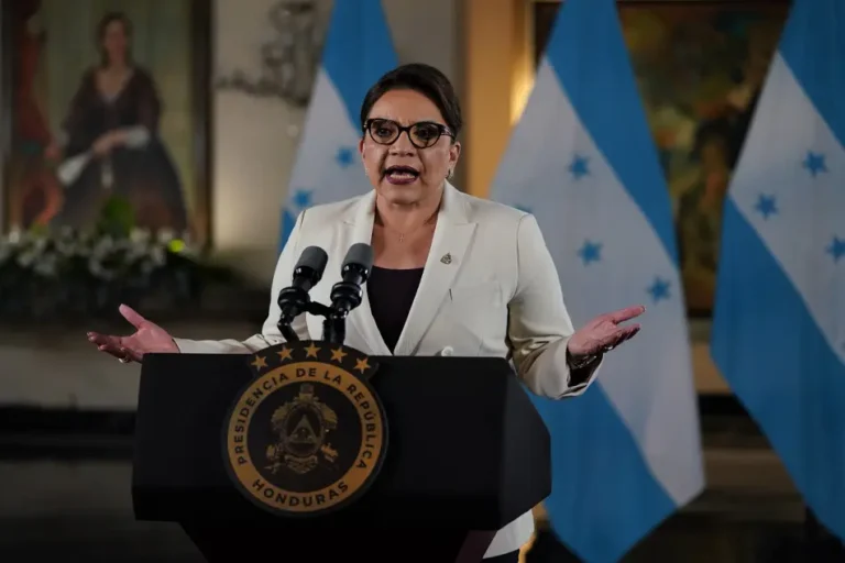 WhatsApp Image 2023 01 31 at 18.51.27