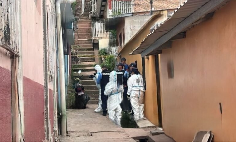 WhatsApp Image 2025 07 04 at 15.32.19