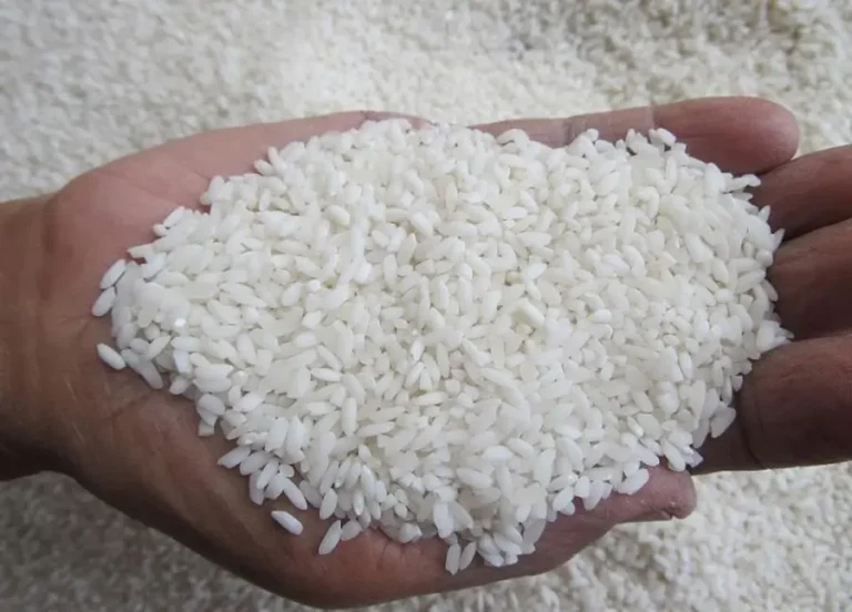 Gobierno pacta con industriales y asegura la compra del arroz nacional 12 arroz.jpg