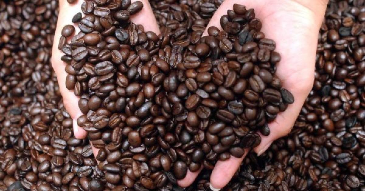 Café hondureño rompe récord y genera más de 2,000 millones en exportaciones 1 cafehonduras 1 lp1112708 mg68610367 8135851 20240729095449