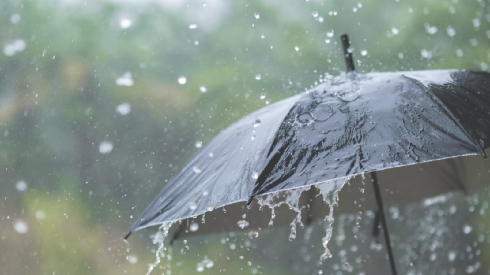 Humedad del Caribe provoca lluvias aisladas en gran parte de Honduras 1 clima en Honduras 14