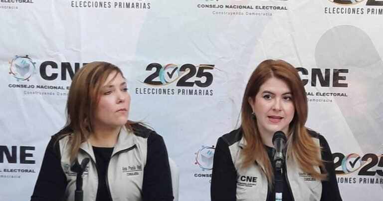 Feministas condenan intimidación y violencia política contra consejeras del CNE en el Congreso 13 diseno sin titulo 2025 03 24t13443 10262092 20250324134813