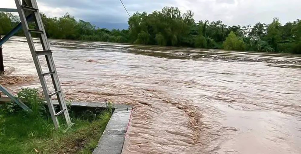 Inundaciones en excampos bananeros de El Progreso provocan millonarias pérdidas 2 inundaciones en excampos bananeros de el progreso dejan perdidas millonarias 3