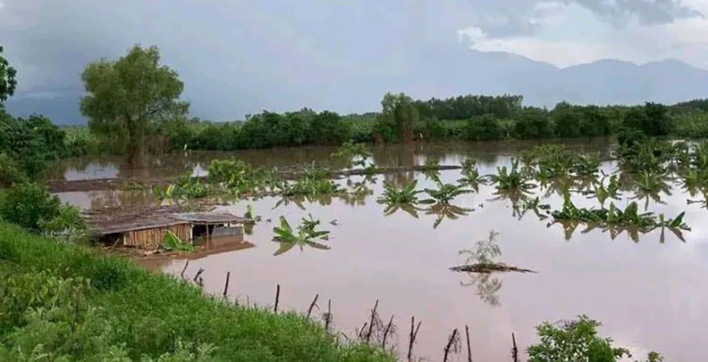 Inundaciones en excampos bananeros de El Progreso provocan millonarias pérdidas 1 inundaciones en excampos bananeros de el progreso dejan perdidas millonarias 4