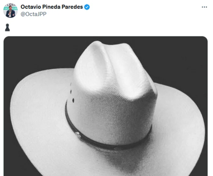 En plena crisis del CNE, ministro Pineda lanza mensaje simbólico y polémico en redes 1 post octavio pineda