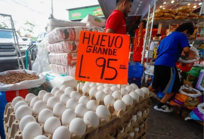 Precio del cartón de huevos baja cinco lempiras en mercados de Tegucigalpa 1 precios huevos