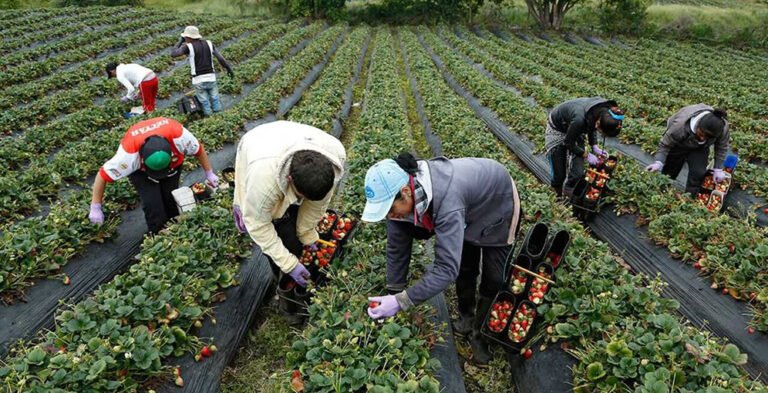 Honduras debe reforzar su economía y revisar acuerdos comerciales ante nuevas amenazas 21 urge fortalecer resiliencia economica y mejorar los tratados comerciales