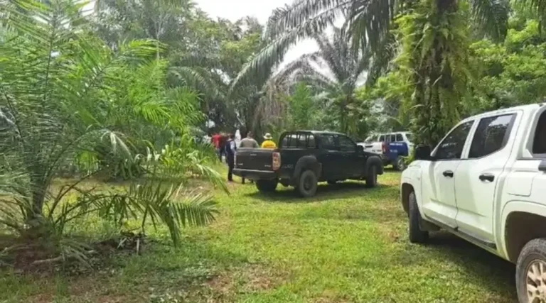 Dos hombres son hallados sin vida flotando en el río Aguán, Colón 1 SUCESO COLON.jpg