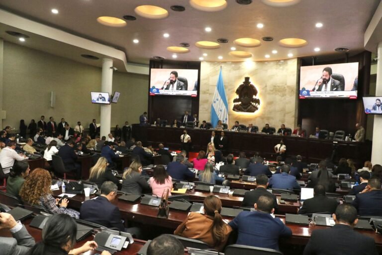 WhatsApp Image 2025 08 07 at 9.32.31 AM