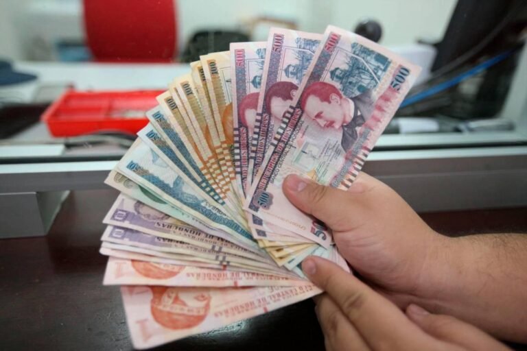 Bajos salarios mantienen débil el poder de compra en Honduras, alerta economista 1 billetes 7213669 20240412112554