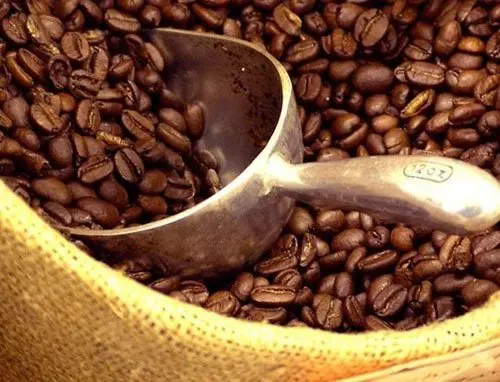 Cosecha de café en Honduras rompe récords y supera los 2,000 millones en divisas 1 cafe