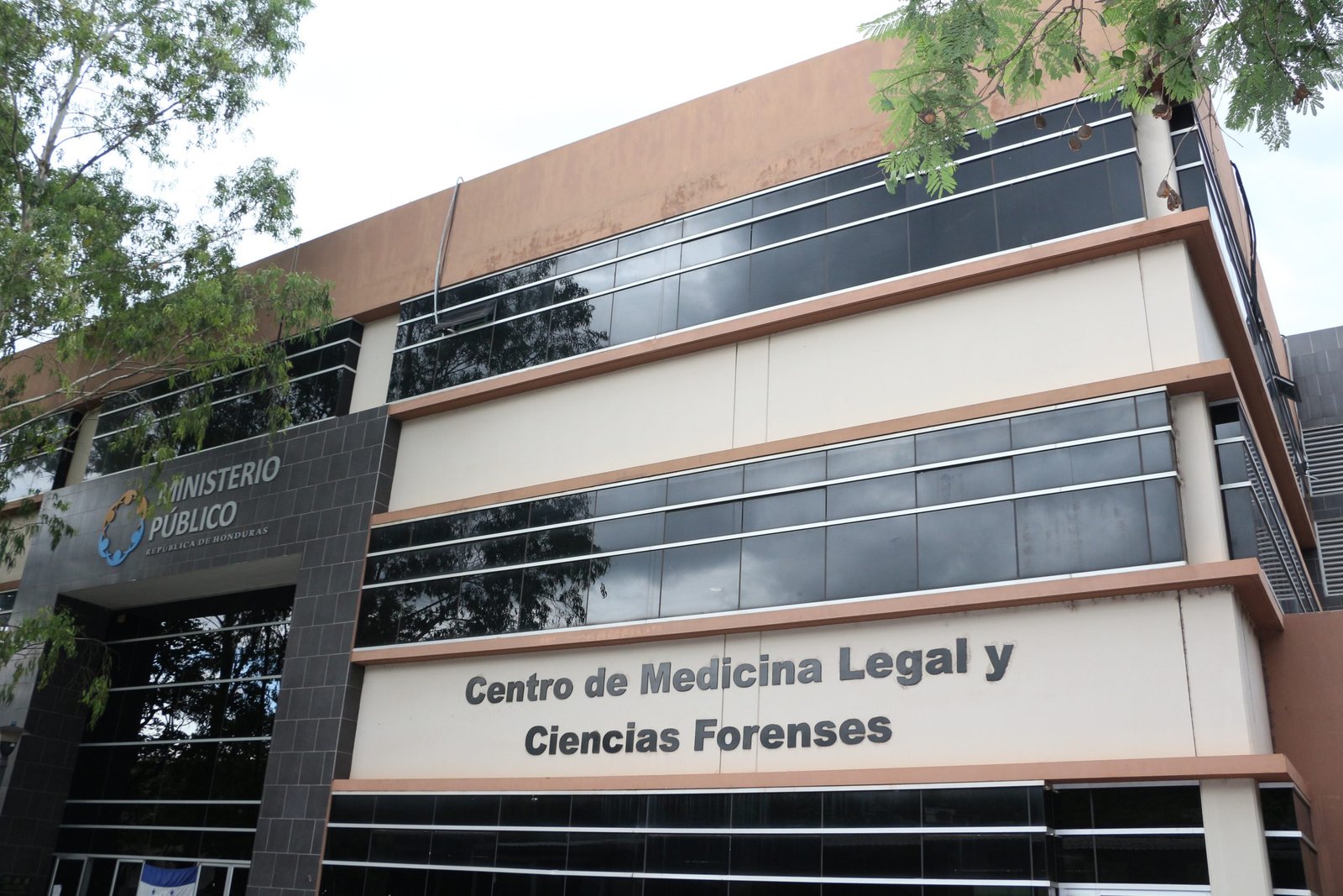 Fin de semana deja 20 muertos en la capital, entre ellos una joven embarazada 1 muertos morgue