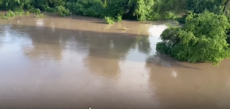 18.09.2025 07.43.37 REC