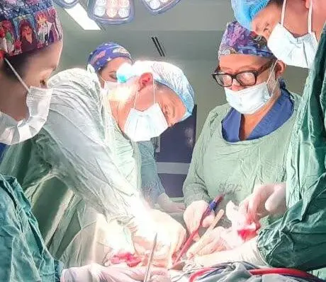 IHSS alcanza su trasplante renal número 74 y devuelve esperanza a paciente de 32 años 1 TRASPLANTE RINON IHSS e1757012188982.jpg