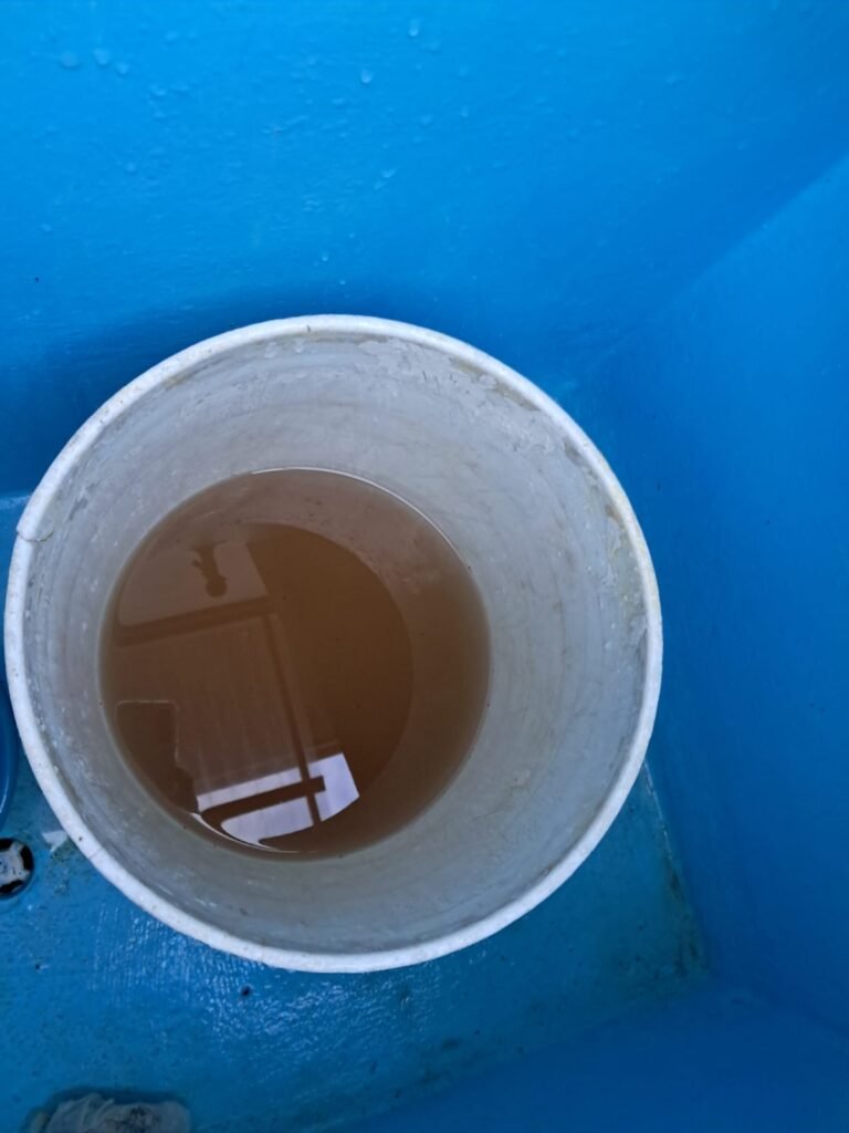 WhatsApp Image 2025 09 23 at 8.07.59 AM