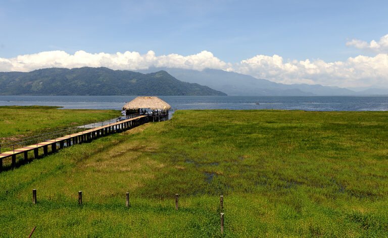 Lago de Yojoa alcanza reconocimiento mundial como Reserva de la Biosfera 3 csm shutterstock 1202784253 a1a9fdbe24