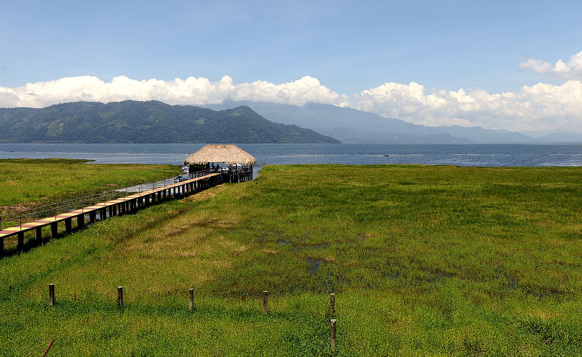 Lago de Yojoa alcanza reconocimiento mundial como Reserva de la Biosfera 1 csm shutterstock 1202784253 a1a9fdbe24
